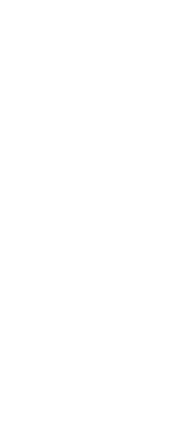 designelement 1.png