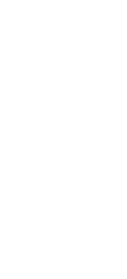 designelement 2.png